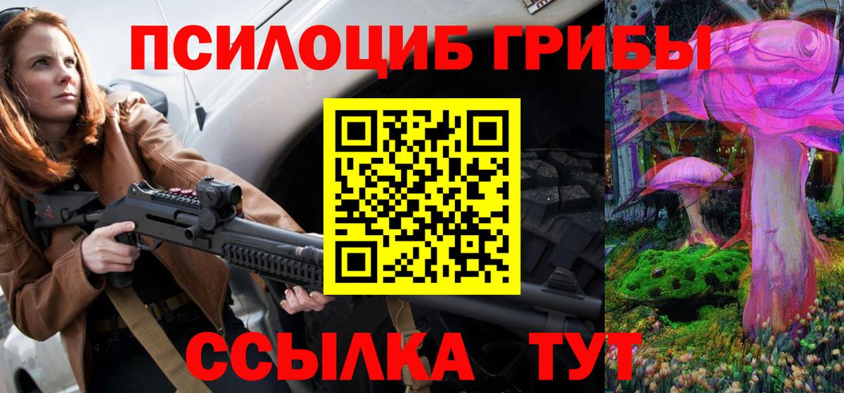 Галлюциногенные грибы Psilocybe Аксай