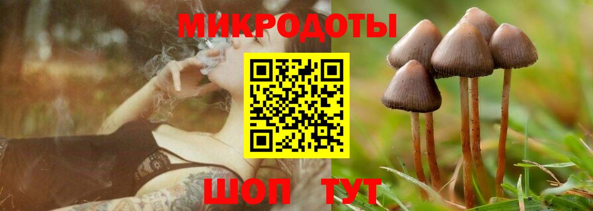 Галлюциногенные грибы Psilocybe  Вход с VPN  Галлюциногенные грибы MAGIC MUSHROOMS  Аксай 